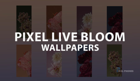 Pixel Live Bloom Wallpapers